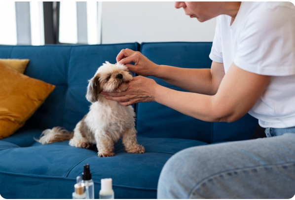 Puppy Potty Training Spray