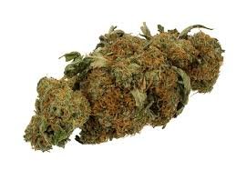 weed