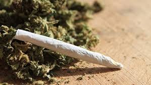 weed