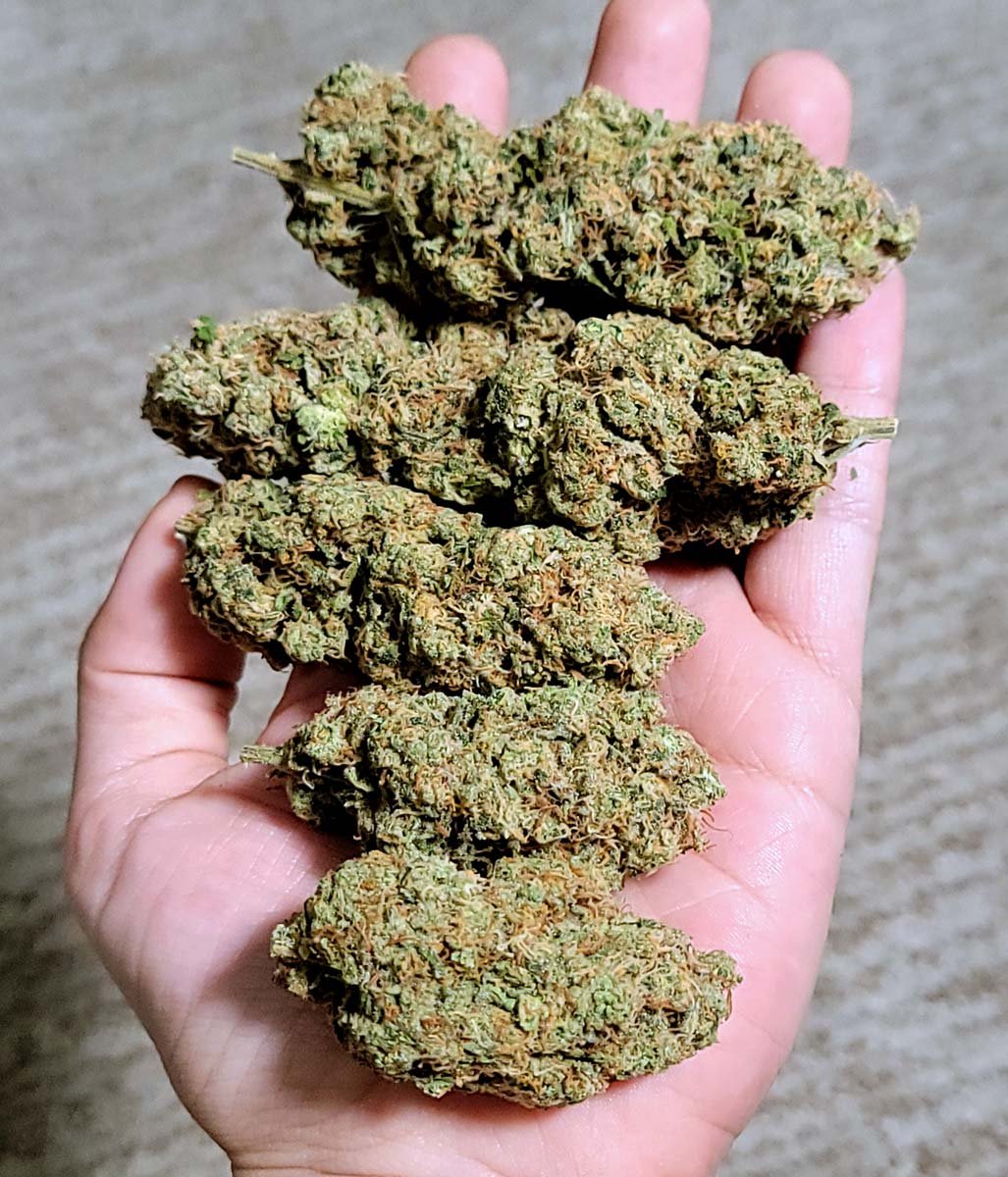 weed