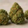 weed strain 90x90