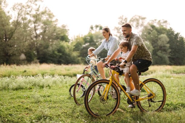 Ebike and Bicycle Service