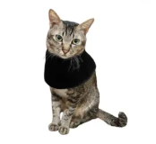 red light therapy for cat