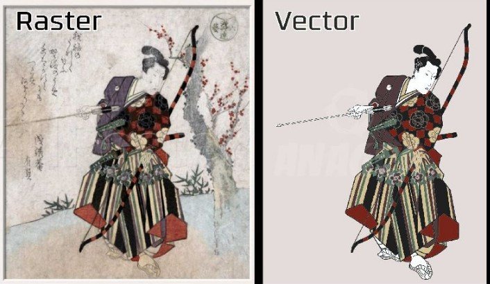 expert vector art services